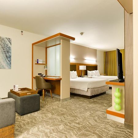 Springhill Suites By Marriott Mcallen Convention Center Zewnętrze zdjęcie